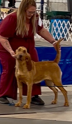 Winners bitch and BESTof BREED