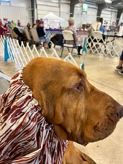 Fallon getting ready for her first show