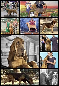 PEYTON x LUCY LITTER DUE JANUARY 26